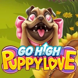 Go High Puppy Love casino game by RubyPlay – featured logo at Spinogrino Casino